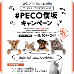 Peco Production